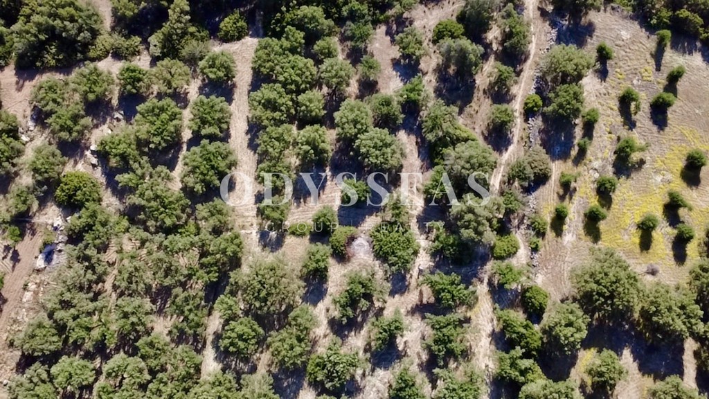 Αγροτεμάχια 672 τ.μ. πρός πώληση, Ν. Λασιθίου, Άγιος Νικόλαος