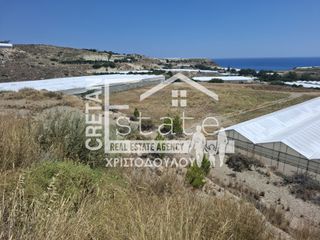 Αγροτεμάχια 11.000 τ.μ. για πώληση