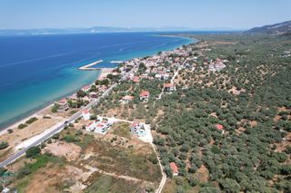 Αγροτεμάχια 1.444 τ.μ. για πώληση
