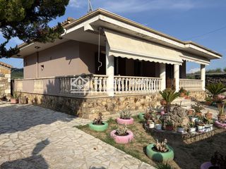 Μονοκατοικία 96 τ.μ. για πώληση