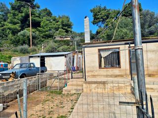 Μονοκατοικία 50 τ.μ. προς πώληση, Ροδοδάφνη Αιδηψού-thumb-10