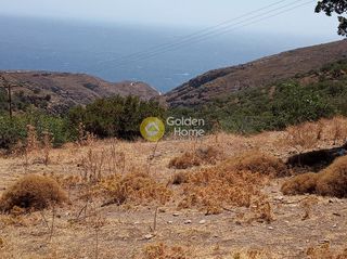 Οικόπεδο 4.200 τ.μ. για πώληση