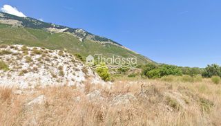 Αγροτεμάχια 7.828 τ.μ. για πώληση