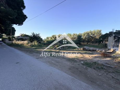 Οικόπεδο 982 τ.μ. πρός πώληση