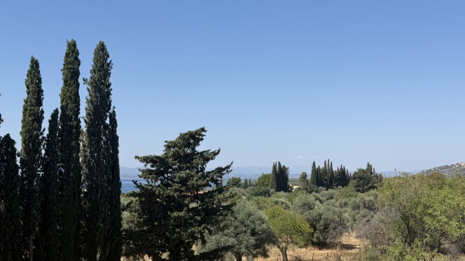 Αγροτεμάχια 1.000 τ.μ. πρός πώληση, Εύβοια, Ερέτρια
