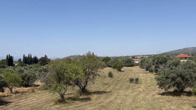 Αγροτεμάχια 1.000 τ.μ. πρός πώληση, Εύβοια, Ερέτρια