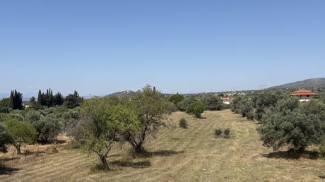 Αγροτεμάχια 1.000 τ.μ. πρός πώληση