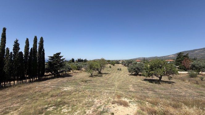 Αγροτεμάχια 1.000 τ.μ. πρός πώληση, Εύβοια, Ερέτρια
