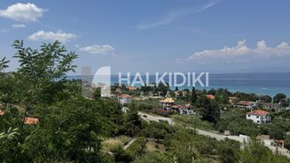 Αγροτεμάχια 4.034 τ.μ. για πώληση