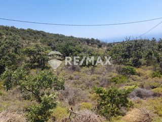 Αγροτεμάχια 8.380 τ.μ. για πώληση