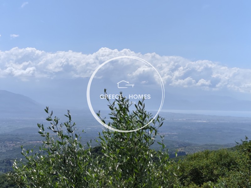 Αγροτεμάχια 5.944 τ.μ. πρός πώληση, Μεσσηνία, Ανδρούσα