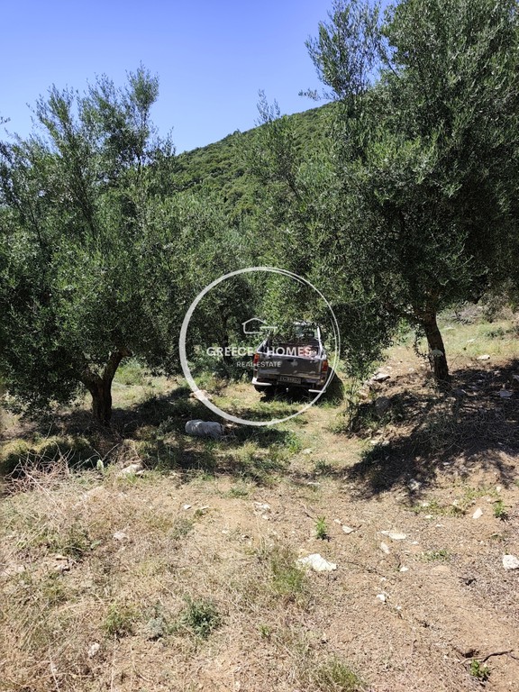 Αγροτεμάχια 5.944 τ.μ. πρός πώληση, Μεσσηνία, Ανδρούσα