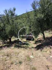 Αγροτεμάχια 5.944 τ.μ. πρός πώληση, Μεσσηνία, Ανδρούσα-thumb-4