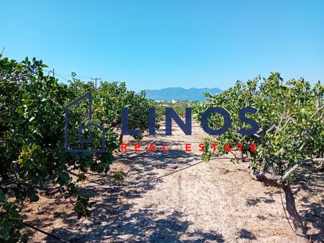 Οικόπεδο 1.330 τ.μ. πρός πώληση