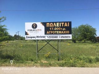 Αγροτεμάχια 17.000 τ.μ. για πώληση
