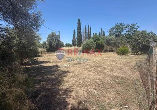 Οικόπεδο 336 τ.μ. για πώληση, Εύβοια, Ερέτρια-thumb-1