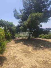 Μονοκατοικία 250 τ.μ. για πώληση, Χαλκιδική, Ορμύλια-thumb-27