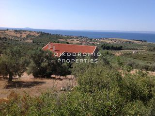 Μονοκατοικία 250 τ.μ. για πώληση, Χαλκιδική, Ορμύλια-thumb-22