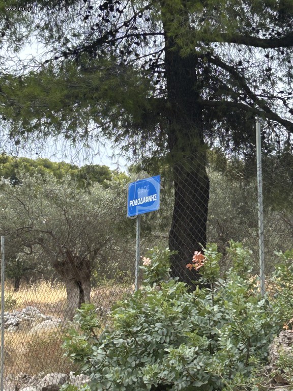 Οικόπεδο 12.000 τ.μ. προς πώληση, Φραγκολίμανο