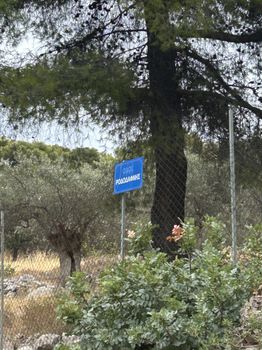 Land plot 12.000 sqm for sale