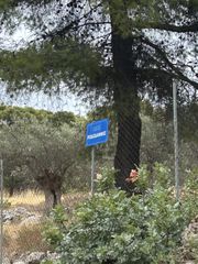 Οικόπεδο 12.000 τ.μ. για πώληση
