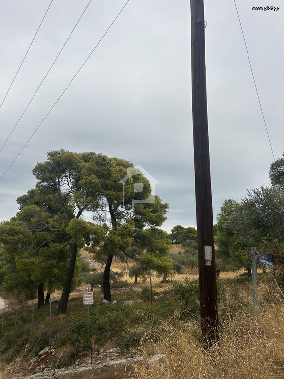 Οικόπεδο 12.000 τ.μ. προς πώληση, Φραγκολίμανο