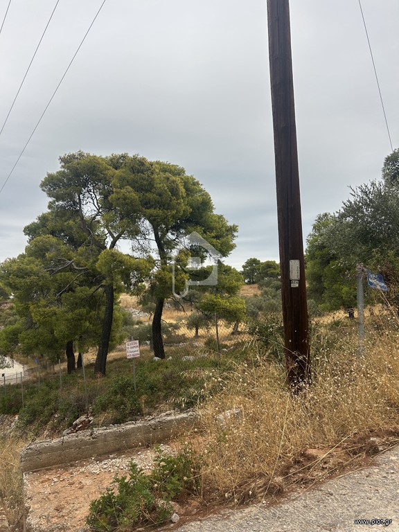 Οικόπεδο 12.000 τ.μ. προς πώληση, Φραγκολίμανο