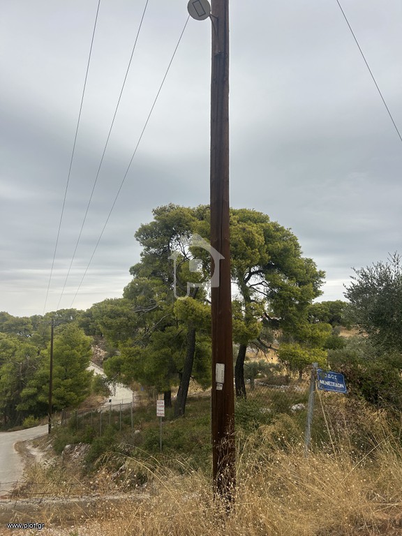 Οικόπεδο 12.000 τ.μ. προς πώληση, Φραγκολίμανο