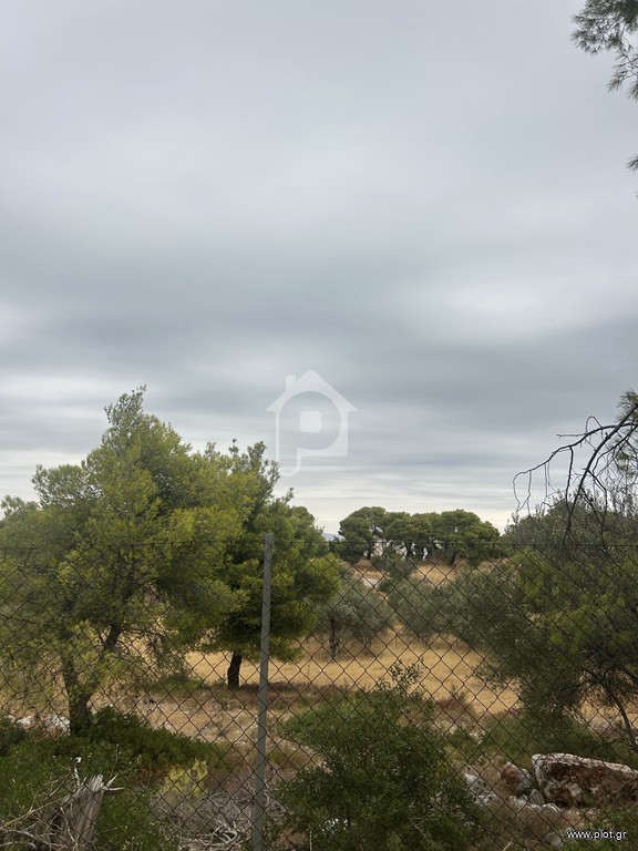 Οικόπεδο 12.000 τ.μ. προς πώληση, Φραγκολίμανο