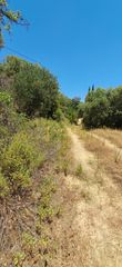 Αγροτεμάχια 2.300 τ.μ. για πώληση, Ν. Καβάλας, Ελευθερές-thumb-5