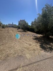 Οικόπεδο 588 τ.μ. για πώληση, Εύβοια, Ανθηδώνος-thumb-2