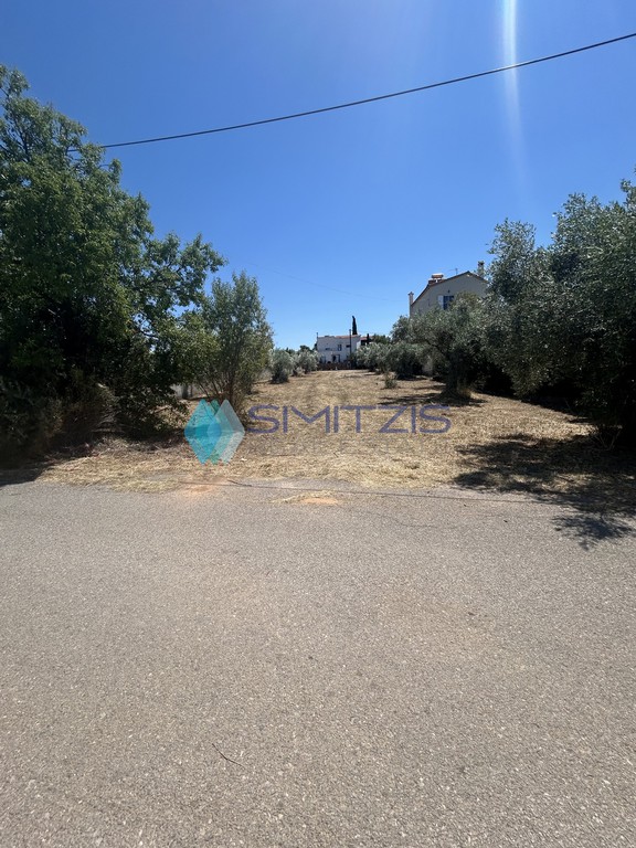 Οικόπεδο 588 τ.μ. για πώληση, Εύβοια, Ανθηδώνος