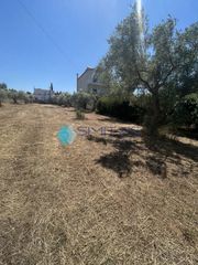Οικόπεδο 588 τ.μ. για πώληση, Εύβοια, Ανθηδώνος-thumb-4