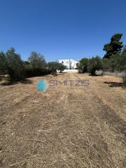 Οικόπεδο 588 τ.μ. για πώληση, Εύβοια, Ανθηδώνος-thumb-3