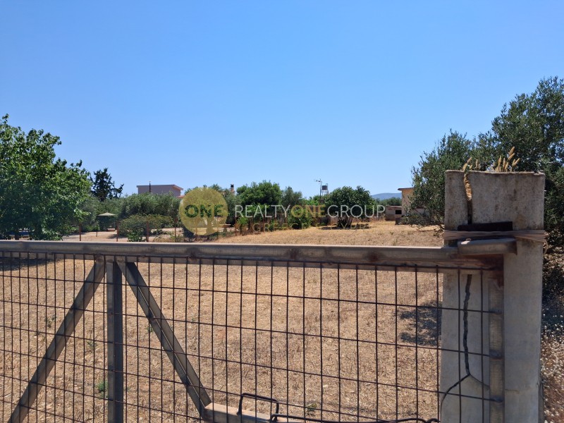 Parcel 3.650 sqm for sale, Agia Marina, Koropi