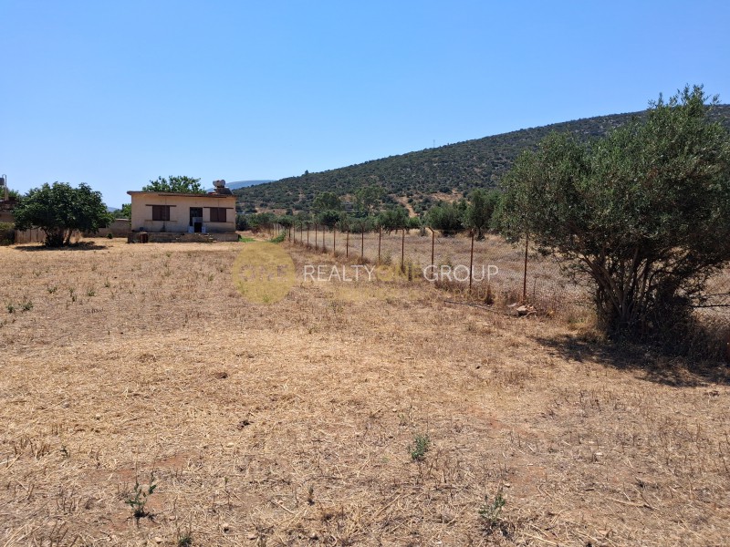Parcel 3.650 sqm for sale, Agia Marina, Koropi