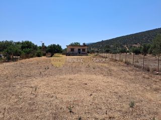 Αγροτεμάχια 3.650 τ.μ. για πώληση