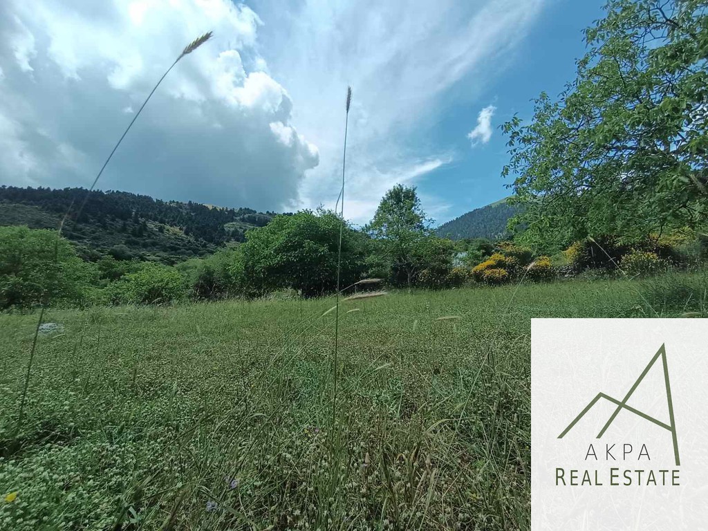 Οικόπεδο 600 τ.μ. πρός πώληση, Ευρυτανία, Καρπενήσι