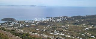 Αγροτεμάχια 21.568 τ.μ. για πώληση