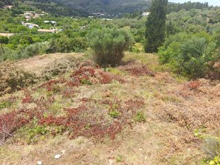 Οικόπεδο 454 τ.μ. για πώληση, Ν. Λευκάδας, Λευκάδα-thumb-1