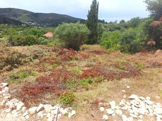 Οικόπεδο 454 τ.μ. για πώληση, Ν. Λευκάδας, Λευκάδα-thumb-4