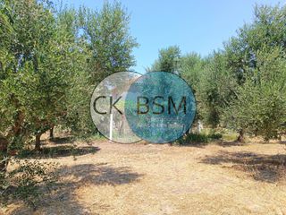 Μεζονέτα 80 τ.μ. για πώληση, Μεσσηνία, Μεθώνη-thumb-20
