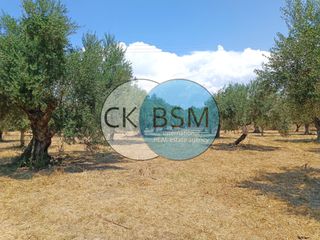 Μεζονέτα 80 τ.μ. για πώληση, Μεσσηνία, Μεθώνη-thumb-1