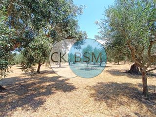 Μεζονέτα 80 τ.μ. για πώληση, Μεσσηνία, Μεθώνη-thumb-18