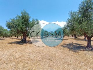 Μεζονέτα 80 τ.μ. για πώληση, Μεσσηνία, Μεθώνη-thumb-12