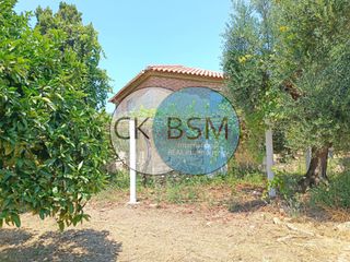 Μεζονέτα 80 τ.μ. για πώληση, Μεσσηνία, Μεθώνη-thumb-21