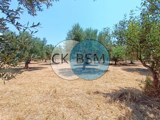 Μεζονέτα 80 τ.μ. για πώληση, Μεσσηνία, Μεθώνη-thumb-17