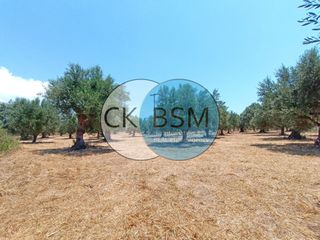 Μεζονέτα 80 τ.μ. για πώληση, Μεσσηνία, Μεθώνη-thumb-16
