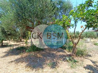 Μεζονέτα 80 τ.μ. για πώληση, Μεσσηνία, Μεθώνη-thumb-14