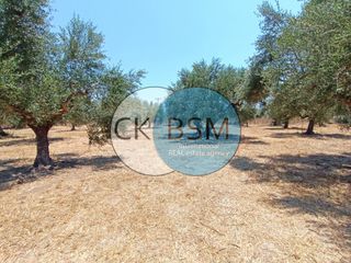 Μεζονέτα 80 τ.μ. για πώληση, Μεσσηνία, Μεθώνη-thumb-13